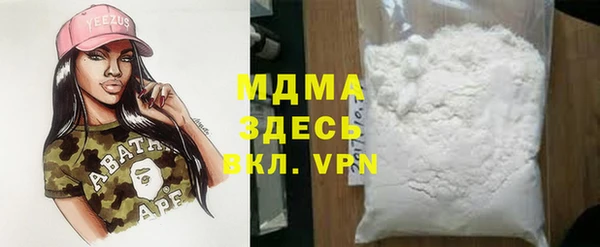 spice Ельня