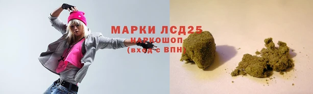 прущие крисы Елизово