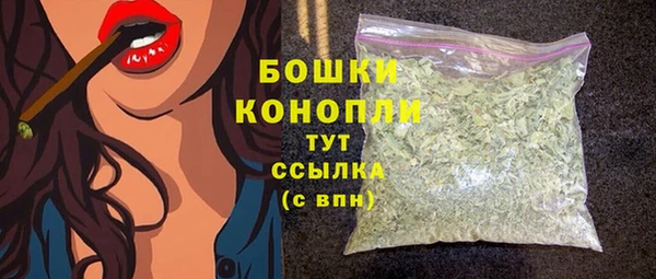гидропоника Елабуга