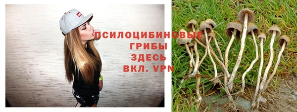 бошки Заводоуковск