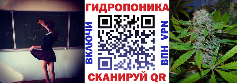 mega онион  Кадников  Канабис OG Kush 